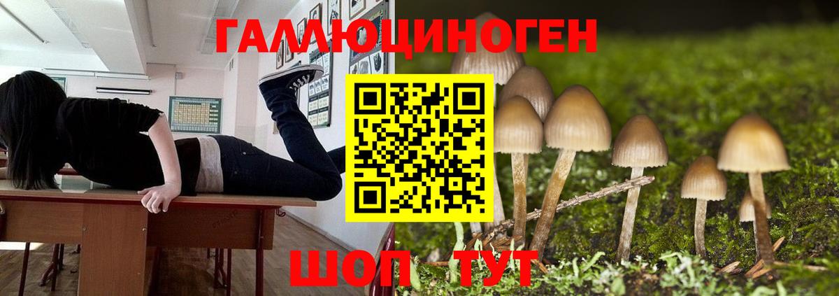 Галлюциногенные грибы MAGIC MUSHROOMS  Вход с VPN  цены   Галлюциногенные грибы GOLDEN TEACHER  Красноярск 